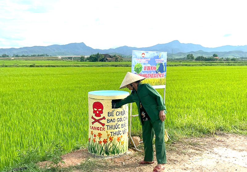 Cánh đồng không vỏ thuốc bảo vệ thực vật của TDP1 Phương Xuân, phường Bắc Nghĩa.