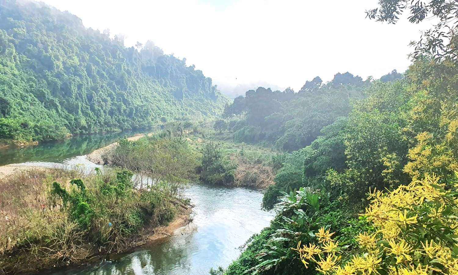 Một góc rừng trong Khu dự trữ thiên nhiên Động Châu-khe Nước Trong. 