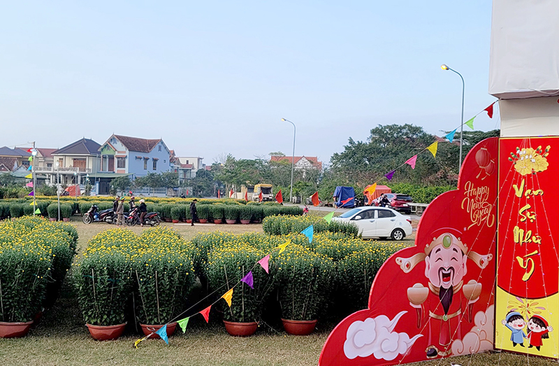 Những sản phẩm của tổ hợp tác trồng hoa, cây cảnh góp phần làm đẹp thêm phố phường thị trấn.