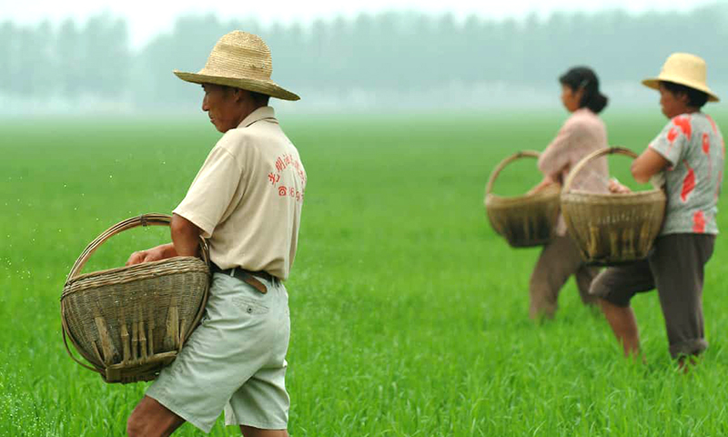 Ảnh minh họa: Monthly Review