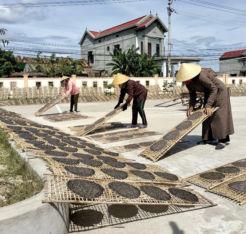 Người dân xã Quảng Lộc đẩy mạnh phát triển kinh tế, nâng cao thu nhập để có điều kiện tham gia BHXH tự nguyện, BHYT hộ gia đình.