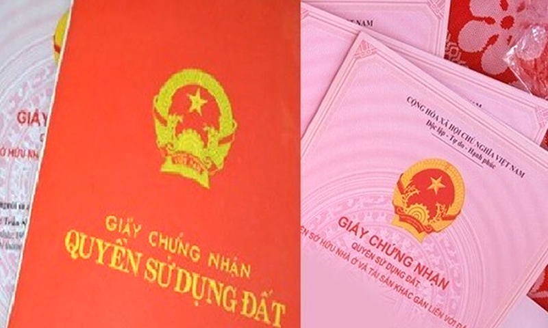 Ảnh minh họa.