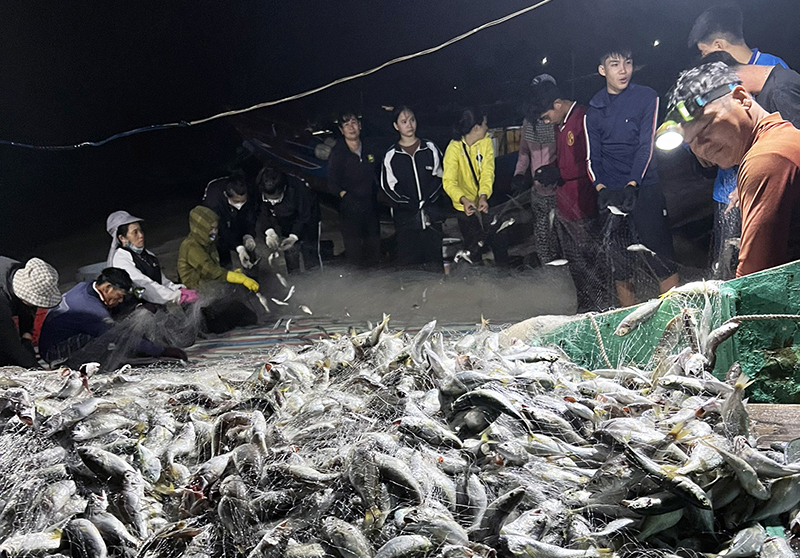 Ngư dân Hải ninh trúng đậm cá đù