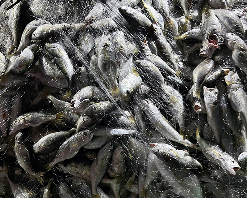 Ngư dân