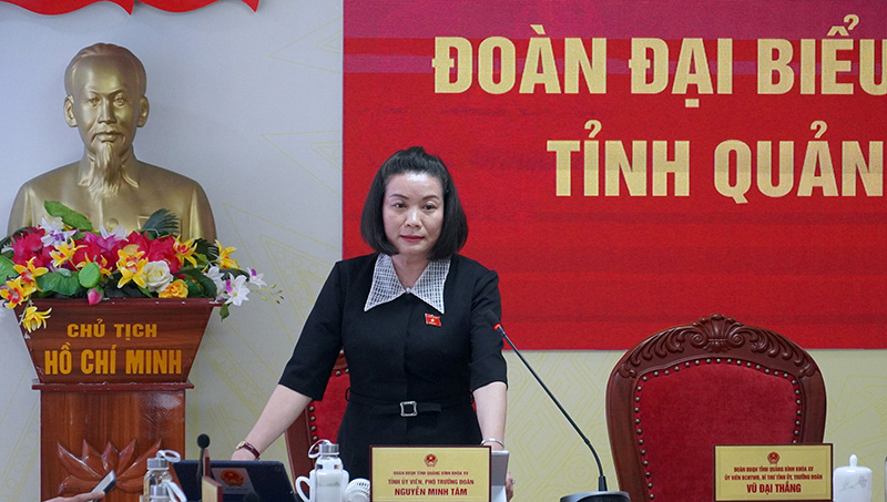 Đại biểu Nguyễn Minh Tâm chất vấn Bộ trưởng Bộ Ngoại giao chiều 17/3