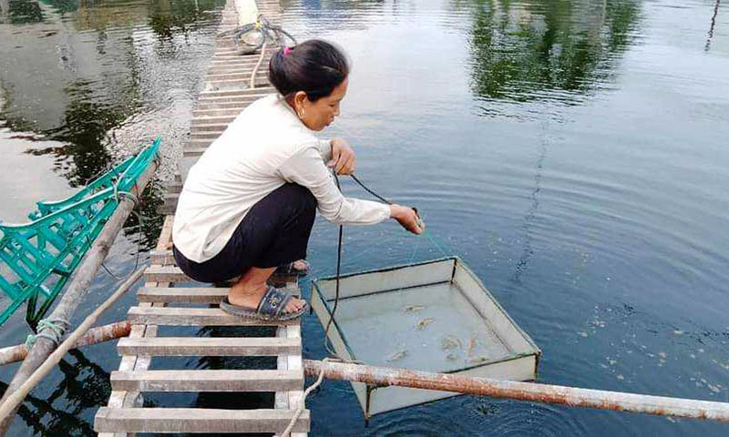 Mô hình nuôi tôm công nghệ cao mang về thu nhập khá cho gia đình chị Trần Thị Hoa.