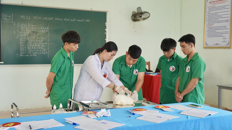 GIáo viên dự thi với bài giảng tiêm vắc-xin phòng bệnh xuất huyết thỏ.