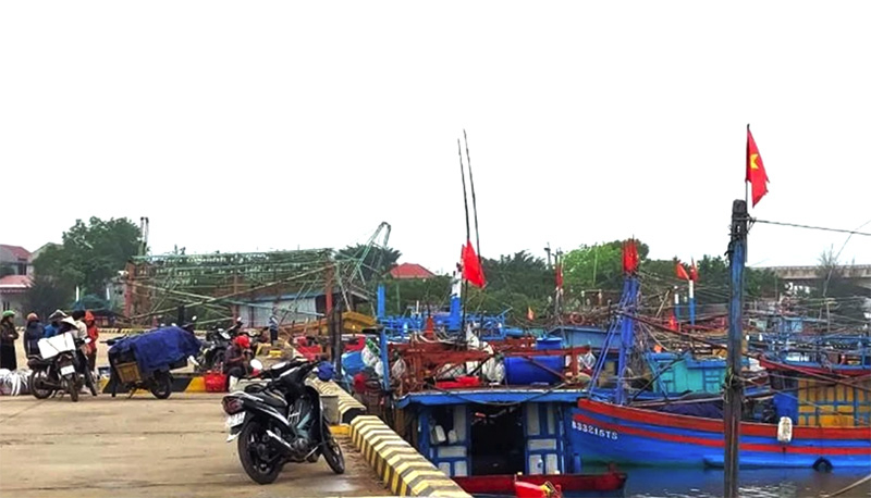 Một góc bến cá Cảnh Dương trong buổi sáng.