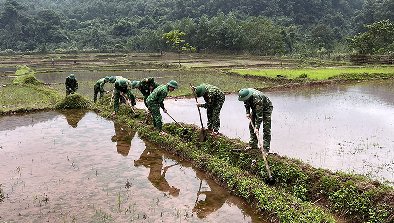 ĐV,TN Đồn Biên phòng Cửa khẩu quốc tế Cha Lo giúp đồng bào chăm sóc lúa nướcĐV,TN Đồn Biên phòng Cửa khẩu quốc tế Cha Lo giúp đồng bào chăm sóc lúa nước