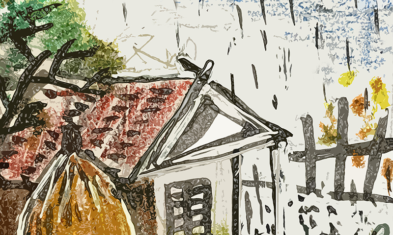 Minh họa: Minh Quý