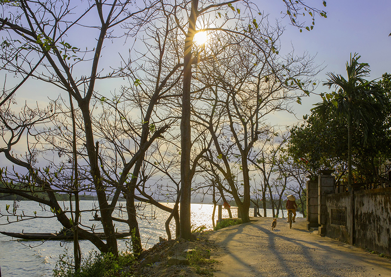 Chiều về.