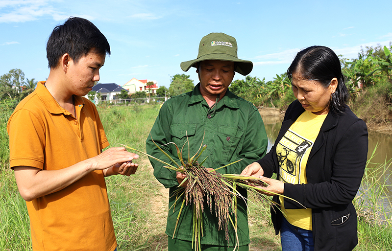 Nhiều mô hình ứng dụng tiến bộ KH-CN vào sản xuất đã góp phần nâng cao năng suất, chất lượng, bảo vệ môi trường.