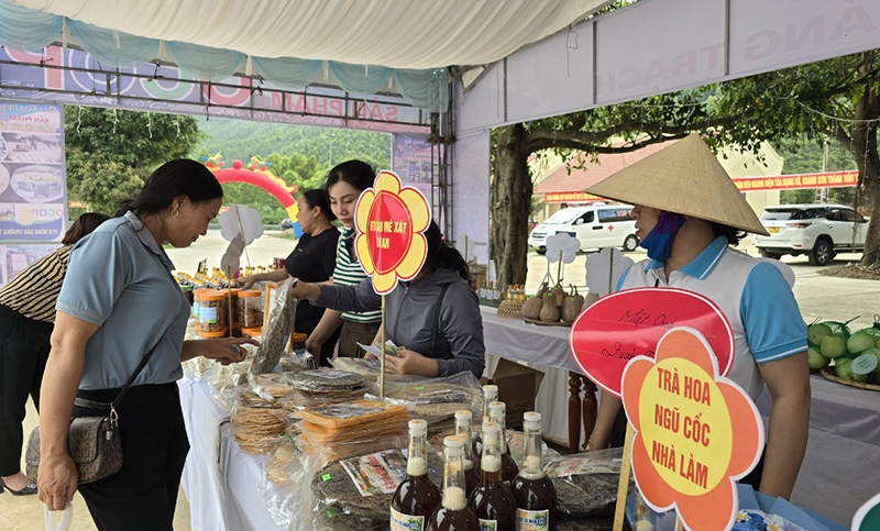 Gian hàng trưng bày các sản phẩm