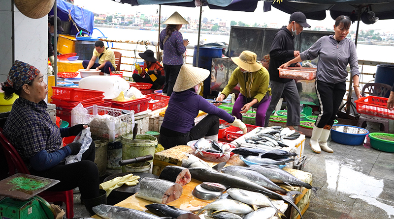 Tổng sản lượng thủy sản của TP. Đồng Hới tăng so với cùng kỳ.