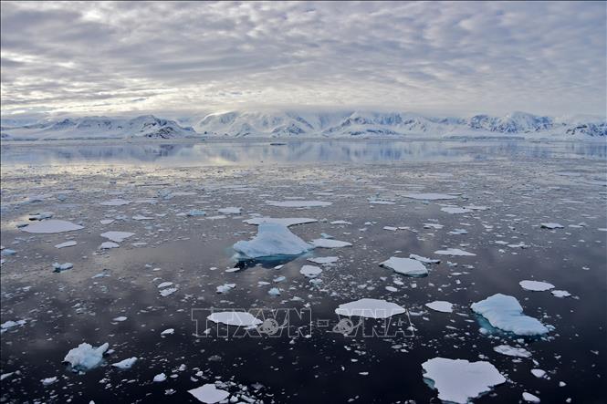 Băng trôi tại Vịnh Chiriguano, quần đảo Nam Shetland, Nam Cực. Ảnh: AFP/TTXVN