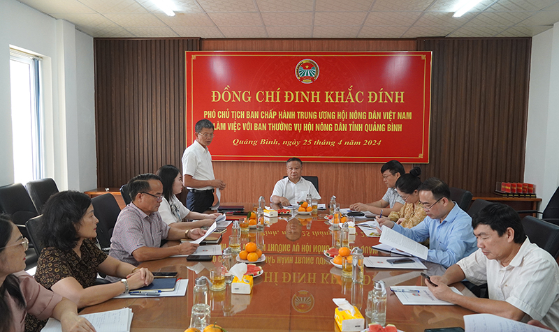 Các đại biểu tham dự buổi làm việc.