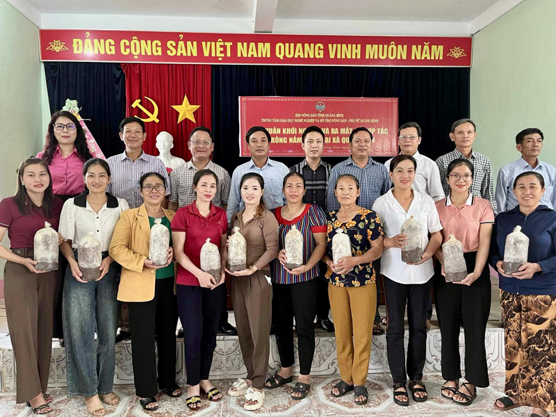 Nhờ lớp dạy trồng và nhân giống nấm, Hội Liên hiệp Phụ nữ xã Quảng Sơn (TX. Ba Đồn) đã thành lập được tổ hợp tác trồng nấm.