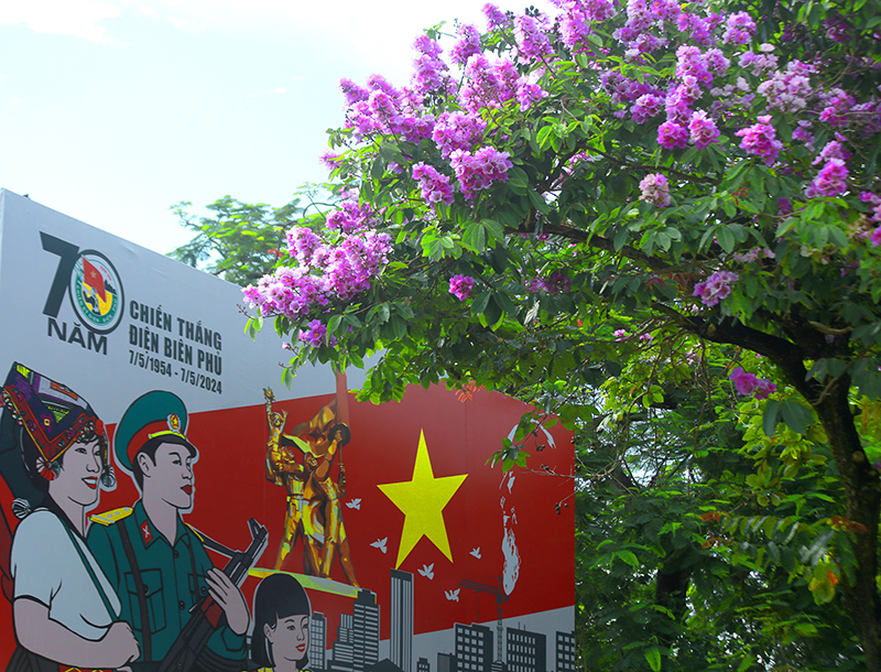 Rực rỡ.