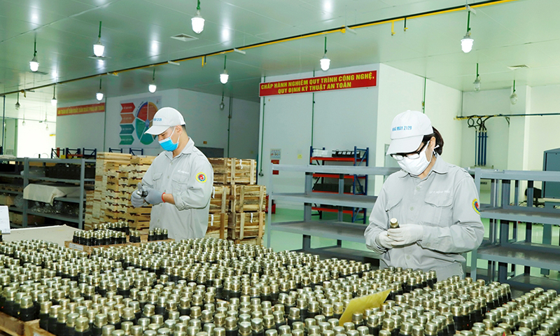 Tổng lắp sản phẩm quốc phòng ở Nhà máy Z129, Tổng cục Công nghiệp Quốc phòng. Ảnh: QUANG TUẤN 