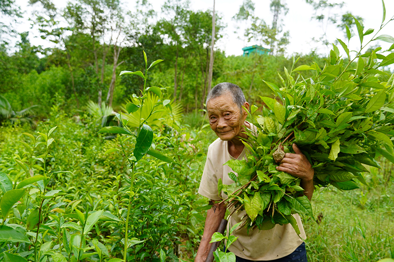 Ngoài 90 tuổi, ông Trương Văn Bá ở bản Phú Minh, xã Thượng Hóa vẫn được bà con tín nhiệm bầu làm người có uy tín.