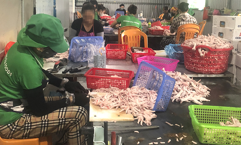Khoảng 10 người đang sơ chế sản phẩm gà đông lạnh không rõ nguồn gốc tại Công ty TNHH xuất nhập khẩu và thương mại thực phẩm Hoàng Gia.