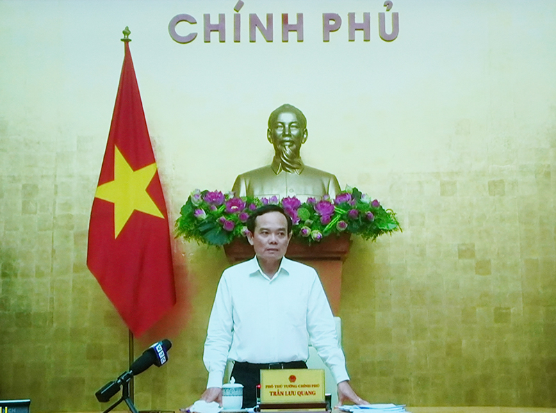 Đồng chí Phó Thủ tướng Chính phủ Trần Lưu Quang phát biểu kết luận hội nghị (ảnh chụp qua màn hình).