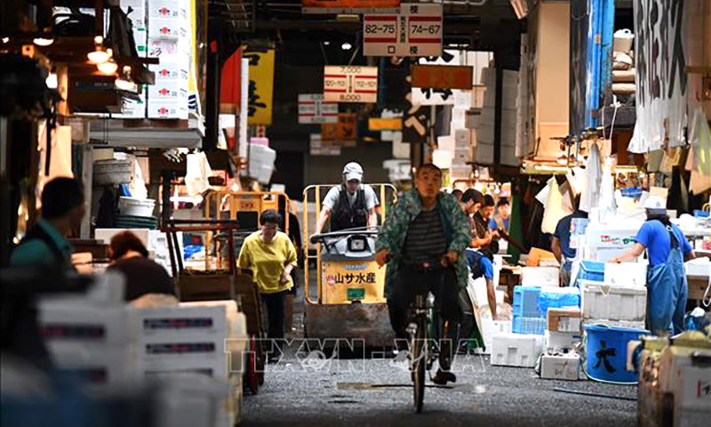 Người lao động làm việc tại chợ cá Tsukiji ở Tokyo, Nhật Bản. Ảnh: AFP/TTXVN