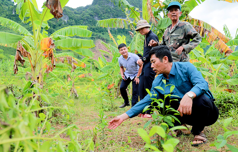Đoàn công tác Sở Khoa học và Công nghệ kiểm tra thực tế tại địa điểm triển khai nhiệm vụ.