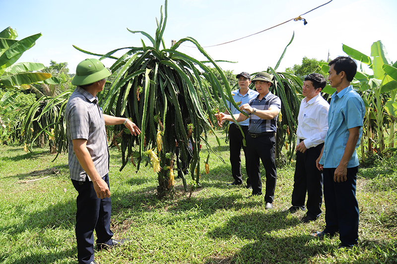 Nhiệm vụ “Xây dựng vườn mẫu trên vùng gò đồi tại xã Thạch Hóa, huyện Tuyên Hóa”.