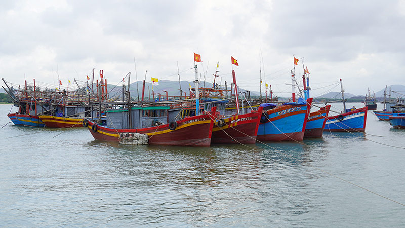 Nhiều tàu cá “3 không” trên địa bàn TX. Ba Đồn được hoàn thiện các thủ tục quản lý theo quy định.  