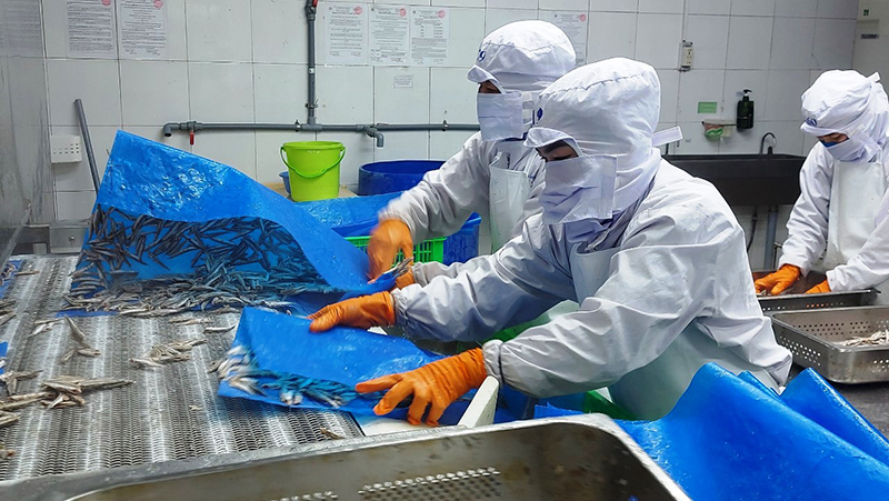 Công tác bảo đảm an toàn thực phẩm luôn được các cơ sở sản xuất chú trọng.