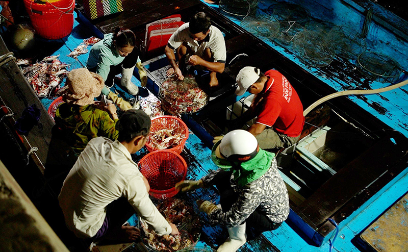  Ngư dân khai thác thủy sản vùng lộng