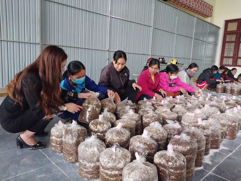 Lớp học nghề trồng nấm thu hút nhiều lao động địa phương tham gia.