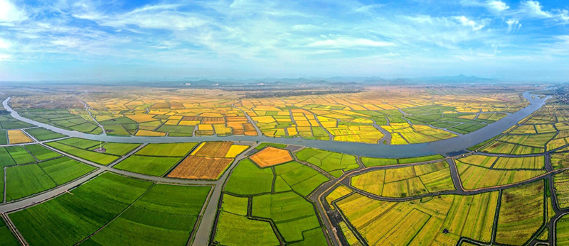 Đôi cánh Hạc Hải.