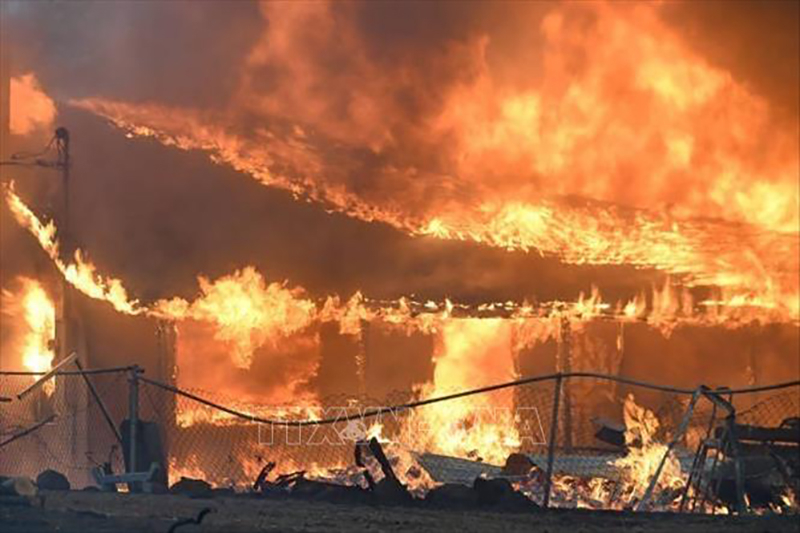 Khói lửa bốc ngùn ngụt từ đám cháy rừng tại Chico, California, ngày 25/7/2024. Ảnh: Getty Images/TTXVN