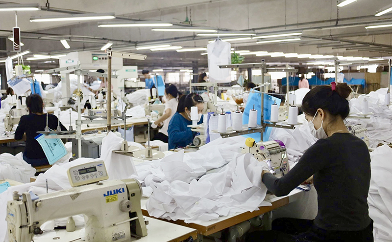 Nâng cao công tác thanh tra, kiểm tra lĩnh vực BHXH, góp phần bảo vệ quyền lợi của người lao động (Ảnh chỉ mang tính chất minh họa).