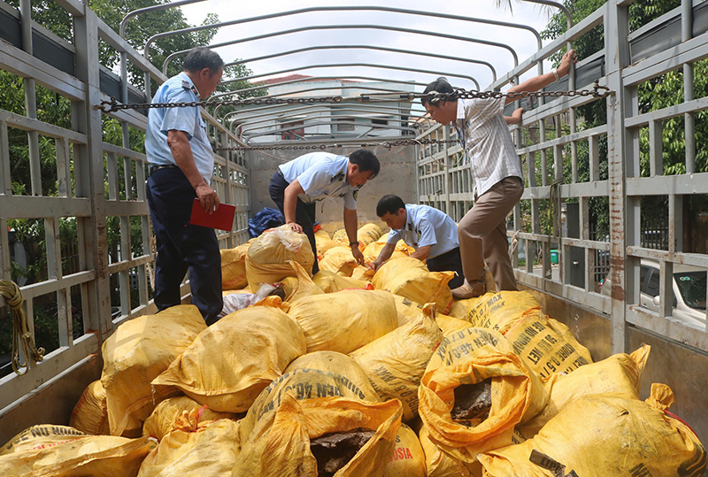 Lực lượng QLTT khám phương tiện vận tải chở hàng hoá vi phạm.