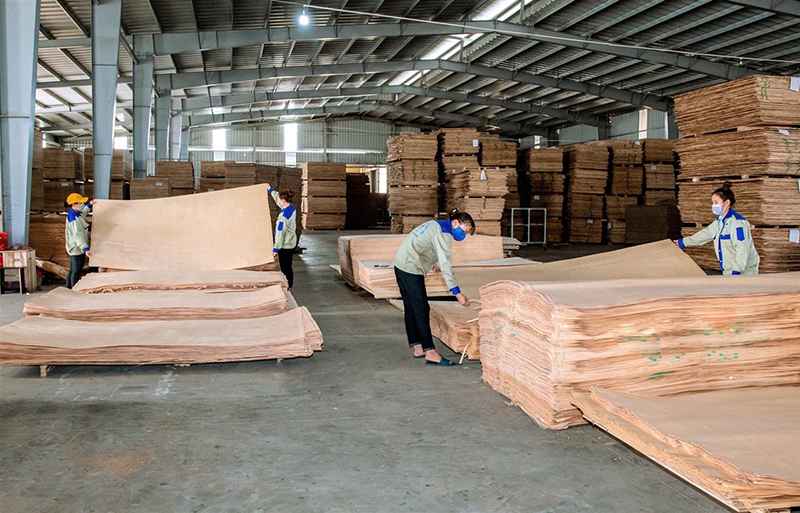 Chú trọng xúc tiến, kêu gọi các nhà đầu tư ở lĩnh vực chế biến gỗ tinh sâu để tạo sự liên kết với người trồng rừng.
