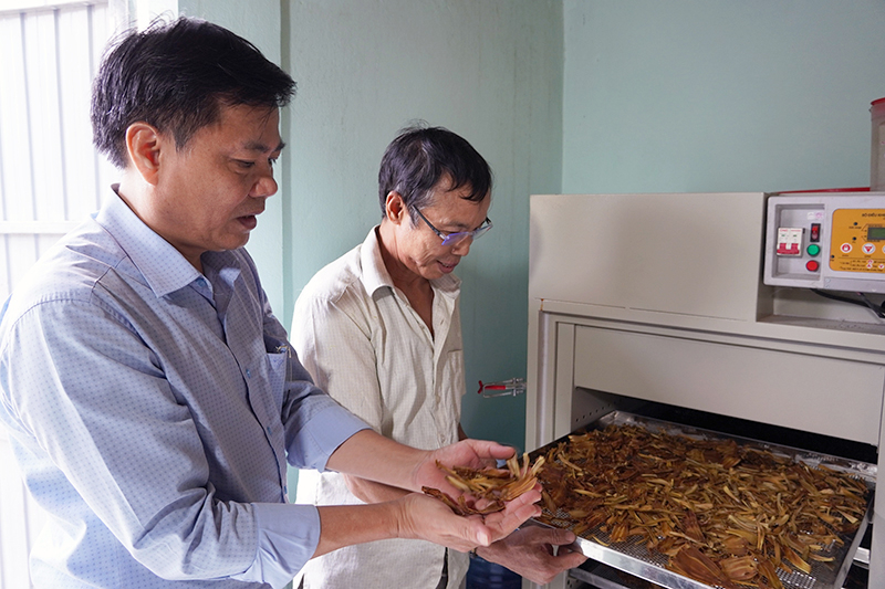 Tham gia chuỗi giá trị măng giang Trường Xuân, người dân được tạo việc làm, tăng thu nhập.