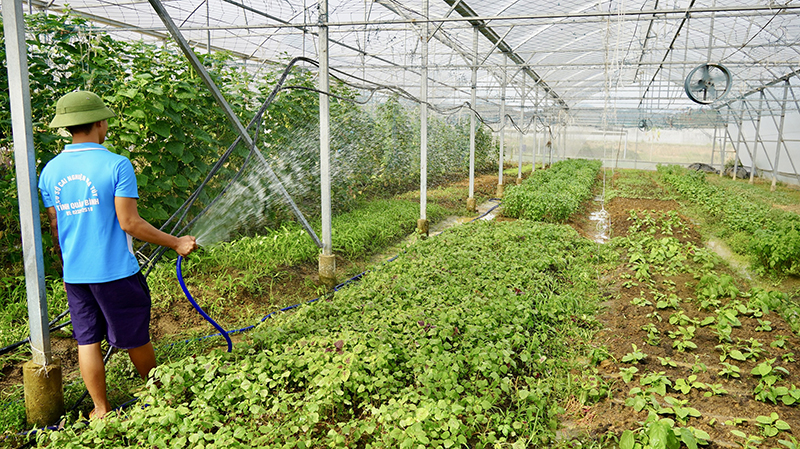 Cơ sở Cai nghiện ma túy tỉnh tìm kiếm, triển khai nhiều việc làm, như: Đan lát, trồng rau, chăn nuôi... giúp học viên lao động phục hồi sức khỏe và cơ hội cho họ được tiếp cận, học nghề.