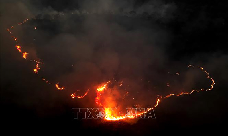 Khói lửa bốc lên từ đám cháy rừng tại bang Goias, Brazil, ngày 9/9/2024. Ảnh: THX/TTXVN