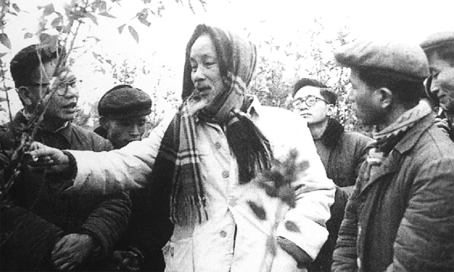 Đạt thành tích xuất sắc trong phong trào trồng cây toàn miền Bắc, ngày 26/1/1964, Đảng bộ, chính quyền và nhân dân xã Vinh Quang (nay là xã Đào Xá, huyện Thanh Thủy) đã vinh dự được đón Chủ tịch Hồ Chí Minh về thăm. Ảnh tư liệu