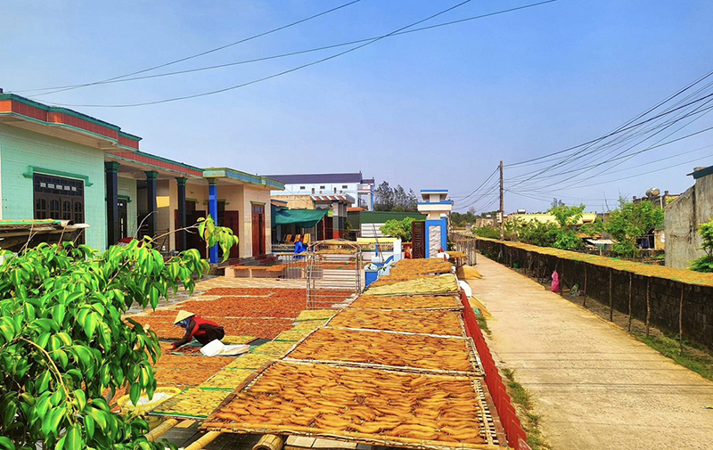 Thôn Tân Định, xã Hải Ninh (Quảng Ninh) nổi tiếng với thương hiệu khoai deo, mỗi năm tiêu thụ từ 300-400 tấn sản phẩm.