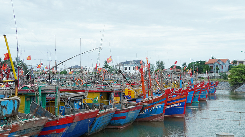 Tàu cá vào tránh trú ATNĐ tại Khu neo đậu tránh trú bão Cừa Phú (xã Bảo Ninh, TP. Đồng Hới).