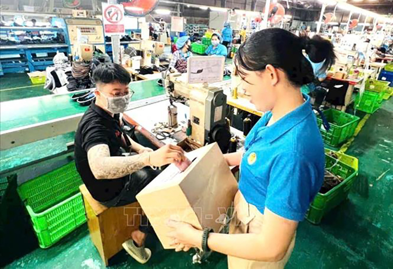 Công nhân giày da Công ty Giang Phạm (tỉnh Bình Dương) ôm thùng quyên góp đi khắp dây chuyền, sẻ chia tấm lòng vàng với đồng bào miền Bắc sau bão số 3. Ảnh: TTXVN phát