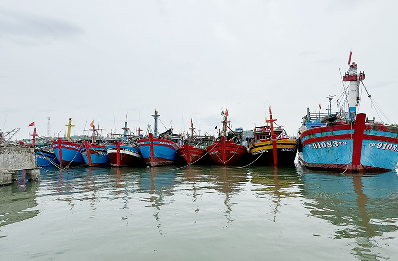 Bộ chỉ huy Bộ đội Biên phòng tỉnh cho biết, tàu thuyền của ngưa dân đã tìm nơi neo đậu an toàn.