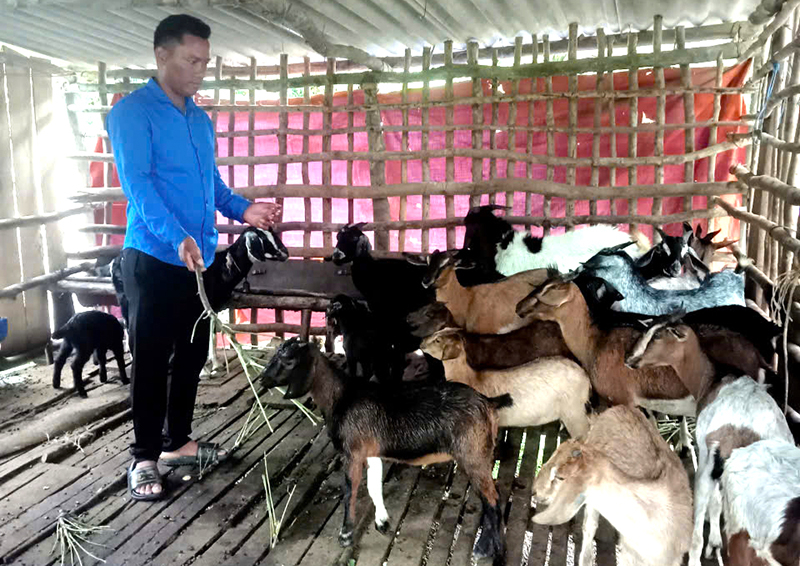 Anh Hồ Văn Mên vừa tích cực vận động bà con tham gia phát triển kinh tế, vừa chủ động phát triển các mô hình trồng trọt, chăn nuôi của gia đình.