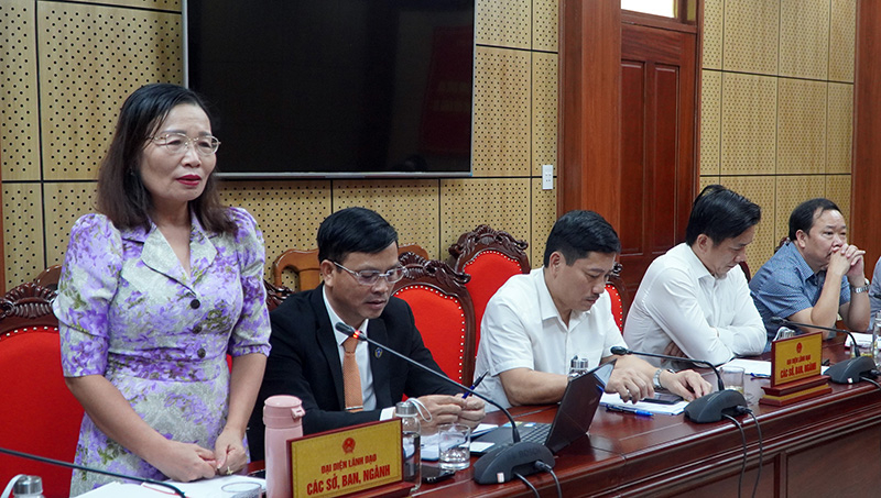 Đại biểu phát biểu tại buổi làm việc.