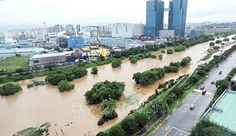 Cảnh ngập lụt sau những trận mưa lớn tại Osan, Hàn Quốc, ngày 18/7/2024. Ảnh minh họa: Yonhap/TTXVN