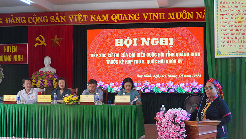 Cử tri trình bày ý kiến, kiến nghị tại buổi tiếp xúc.